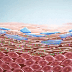 24K Gold Collagen Eye Mask - Anti-aging And Eye Bags Reduction