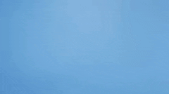 3-In-1 Gimbal Camera Stabilizer For Phone - iPhone And Android