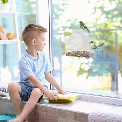 Hummingbird Pigeon Finch Window Wild Bird Feeder