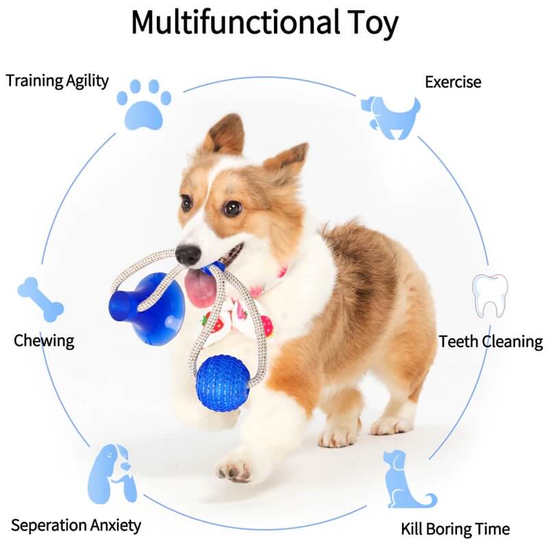 Interactive Tug Of War Dog Toy