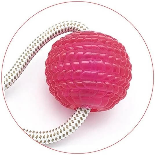 Interactive Tug Of War Dog Toy