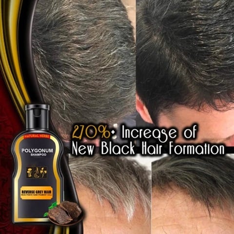 Reverse Grey Hair Darkening Polygonum Shampoo