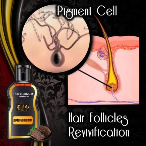 Reverse Grey Hair Darkening Polygonum Shampoo