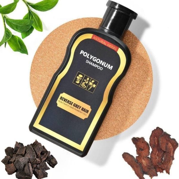 Reverse Grey Hair Darkening Polygonum Shampoo
