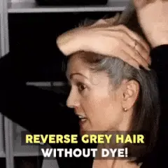 Reverse Grey Hair Darkening Polygonum Shampoo