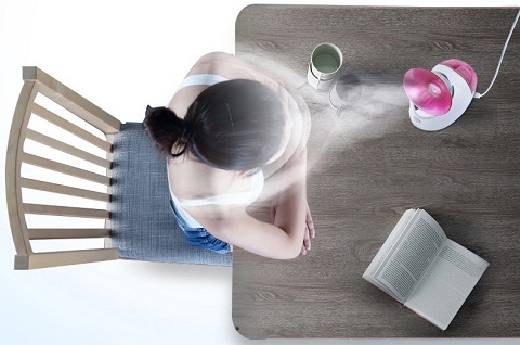 Professional Portable Mini Facial Steamer - Face Humidifier And Sauna