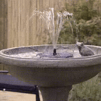 Solar Powered Bird Bath Water Fountain Pump - Garden And Pond