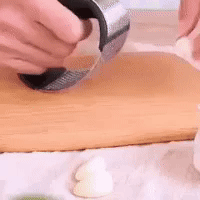Stainless Steel Garlic Presser