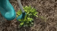 Standing Weed Puller Root Removal Tool