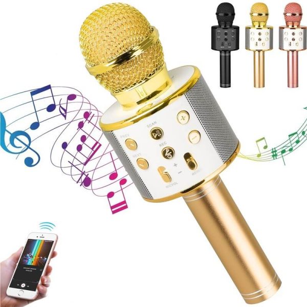 Karaoke Speaker With Microphone - Bluetooth & Wireless Singing Machine Mic