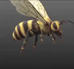 Meniscus Tear & Knee Joint Pain Relief Treatment For Torn Swollen Painful Injury Damage Strain